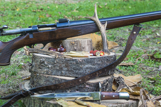 Hunting carabine, bullets and horns on stumps outdoors
