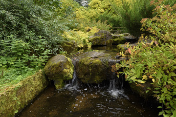 the small stream in the woody park