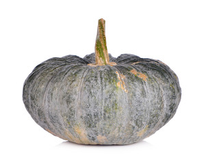 pumpkin on a white background