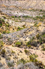 Big Bend National Park