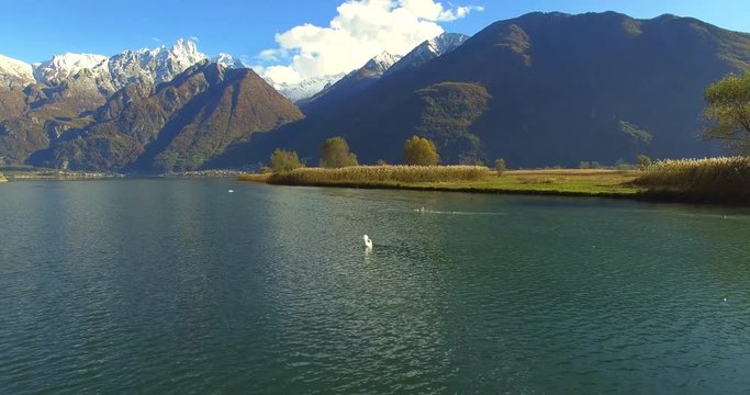 Aerial 4k - Riserva Naturale di Pian di Spagna - Lago di Novate Mezzola - Valchiavenna (IT) - cigno 
Nota del redattore: