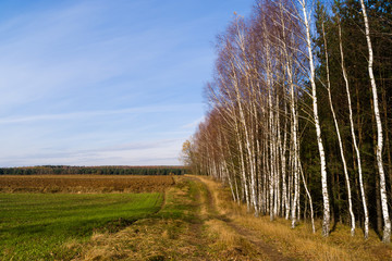 Jesień na Podlasiu © podlaski49