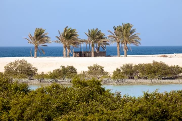 Tableaux ronds sur plexiglas Anti-reflet Île Mangroves et palmiers sur l& 39 île de Sir Bani Yas, ÉMIRATS ARABES UNIS