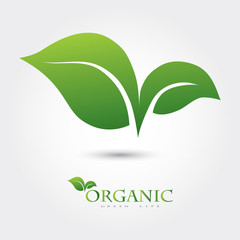Green vector icon of the two leaves. It can be used for eco, vegan, herbal, health or care for the nature of the logo design concept.