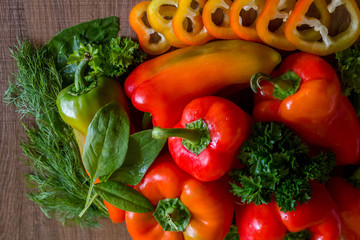Autumn set of fresh vegetables