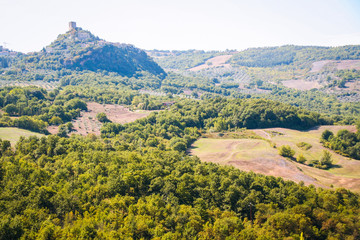 Fototapeta na wymiar Tuscan landscape