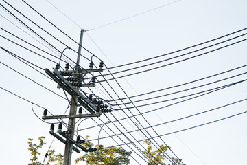 electrical pole