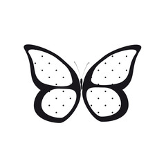 beautiful butterflies, isolated on a white