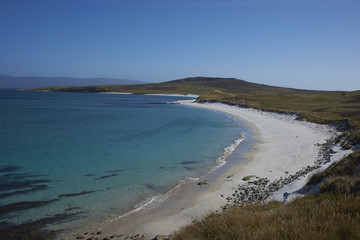 Fototapeta na wymiar Curved white sand of Leopard Beach on the coast of Carcass Island in the Falkland Islands. 