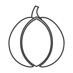 garlic vegetable isolated icon vector illustration design