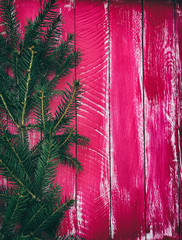 spruce branch on a bright pink wooden background, vintage toning