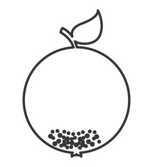 orange fresh fruit isolated icon vector illustration design