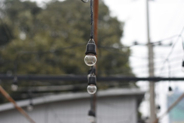 Background Blurred photo : Vintage outdoor string lights.