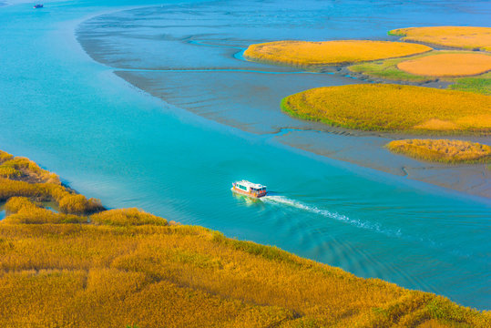 Suncheon bay ecological park  in South Korea