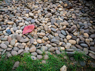Red leaf laying on the aligned rock floor decoration with few grass in the garden