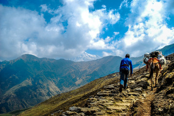 Fototapeta premium Man and the horse