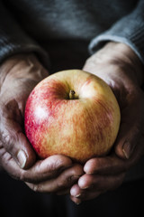 Old hands holding a beautiful apple