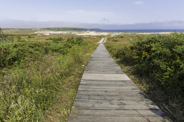 Fototapeta na wymiar Pasarela de madera en playa de Frouxeira (Valdoviño, La Coruña - España).
