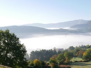 Brouillard d'automne