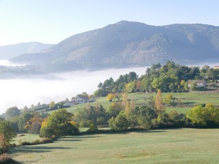 Brouillard d'automne