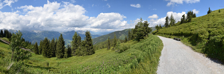 Fototapeta na wymiar Panorama Wanderweg am Berg Planai / Österreich
