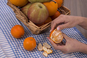 Obraz na płótnie Canvas mani di donna che sbuccia un mandarino 