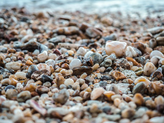 Little pebbles on the beach