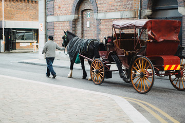 Traditional Irish Carriage