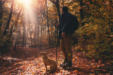 Man and dog in the forest