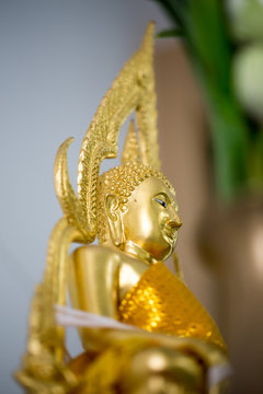 The Golden Buddha statue to gild. Which people use to worship the buddha image.