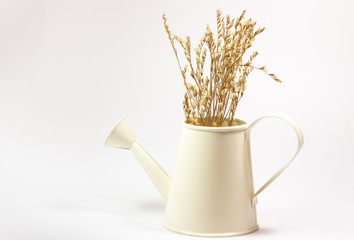 flower,vintage,isolate