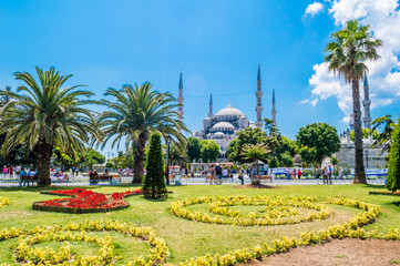 Obraz premium The Sultan Ahmed Mosque (Blue Mosque) view from the Sultanahmet Park in Istanbul, Turkey