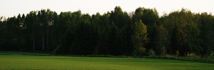 Enjoying the evening