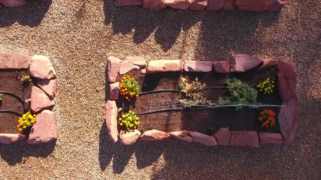 Aerial shot of raised garden beds and greenhouse with vegetables
