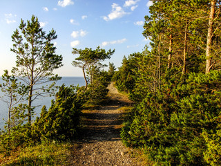 Fototapeta na wymiar Amazing Pathway over the Cliff in Saaremaa Island