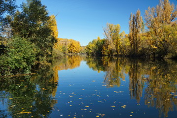 Autumn's river.