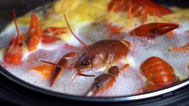 Boiling crayfish at saucepan, closeup
