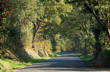 route de campagne en Bretagne