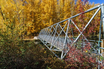 Bridge into autumn