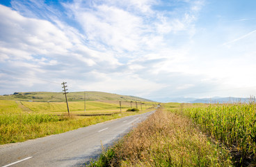 Countryside rural trafficless road passing by farmland fields with corn and other plants on a bright sunny autumn day with a blue cloudy sky © alexionas