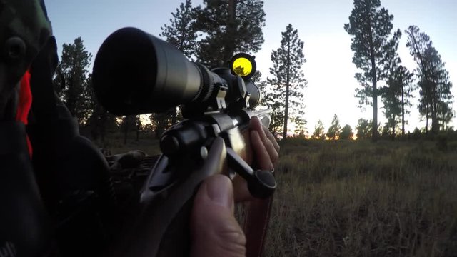A deer hunter walks through the green woods with rifle