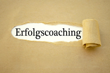 Schild Tafel Kreidetafel mit Erfolgscoaching
