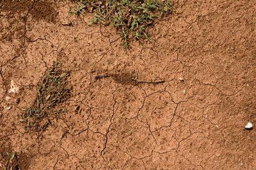 Dry soil closeup