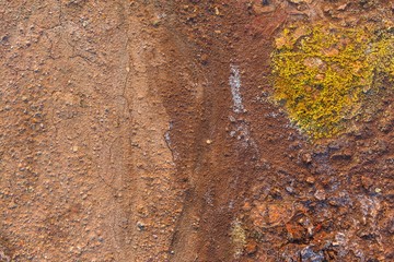 Dry soil closeup