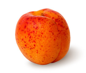 Ripe juicy apricots rotated vertically