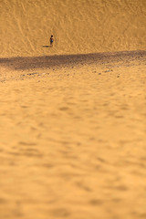 lonely boy standing with his back on the yellow sand in front of