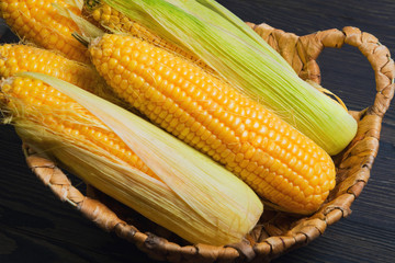 Fresh corn on the cob in wicker basket