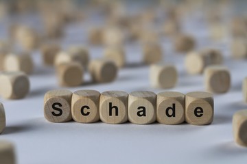 Schade - Holzwürfel mit Buchstaben