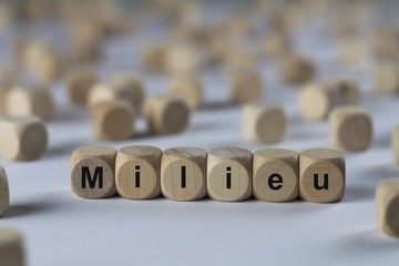 Milieu - Holzwürfel mit Buchstaben