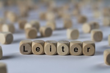 Leiter - Holzwürfel mit Buchstaben